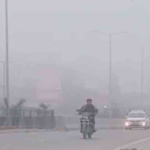 दून समेत छह जिलों में कोहरे का यलो अलर्ट, शीत दिवस जैसी स्थिति रहने के आसार