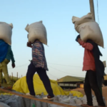 प्रदेश में पहली बार श्रम बल सर्वे शुरू, रोजगार व बेरोजगारी आंकड़ों का होगा सटीक आकलन