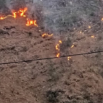 चमोली के जंगलों में लगी आग विकराल होती जा रही